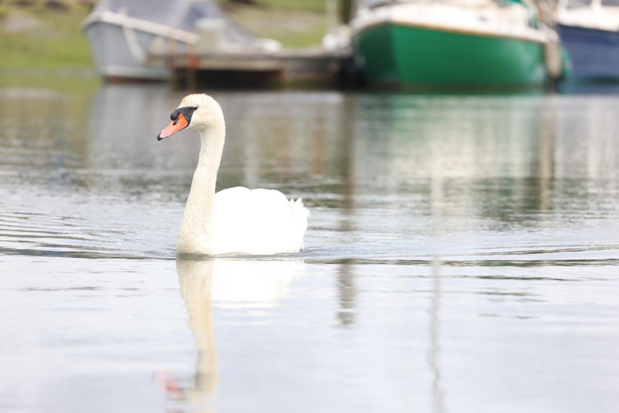 Mercury Yacht Harbour And Holiday Park Bursledon Exteriér fotografie